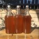 Beginners Guide to Kombucha